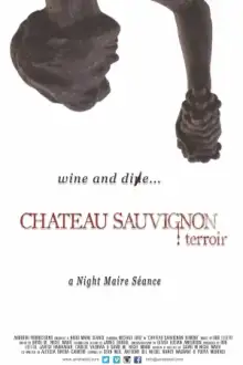 CHATEAU SAUVIGNON TERROIR